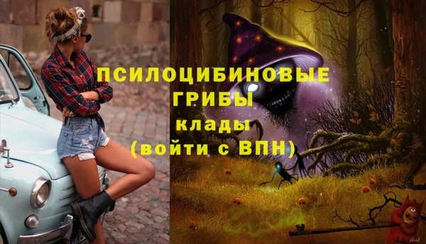 2c-b Аркадак