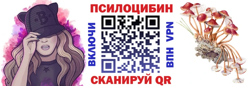 Псилоцибиновые грибы прущие грибы  Пойковский 